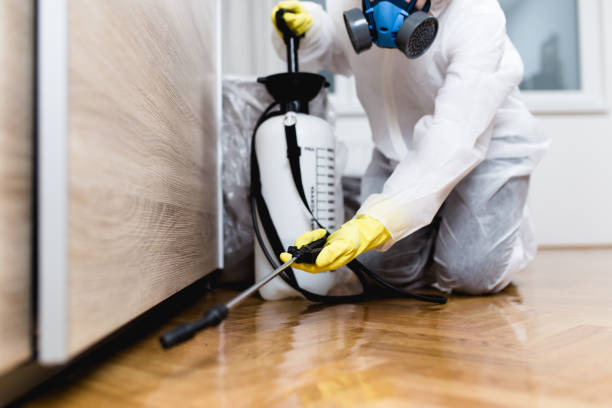 Best Affordable Pest Control Services  in Marriott Slaterville, UT