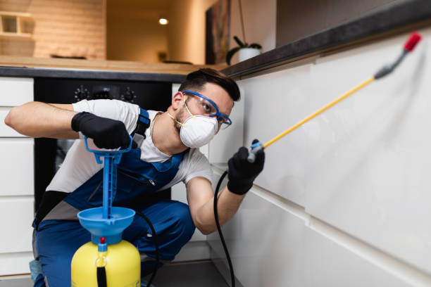 Professional Pest Control in Marriott Slaterville, UT