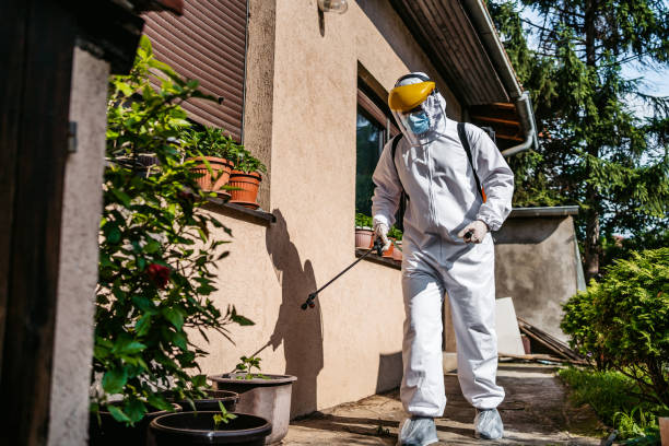 Bird Control in Marriott Slaterville, UT