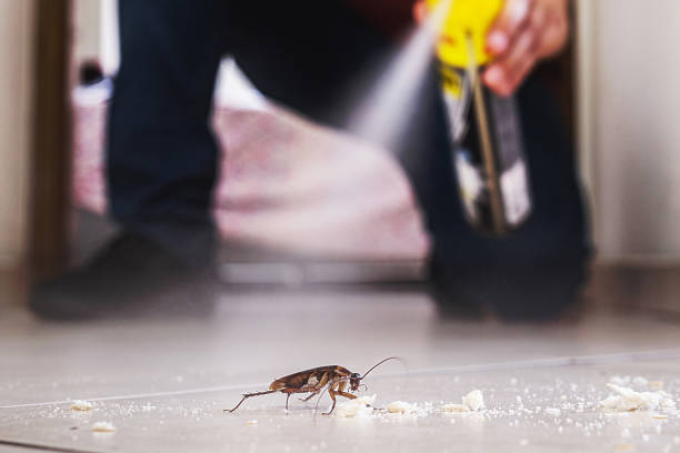 Best Residential Pest Control  in Marriott Slaterville, UT