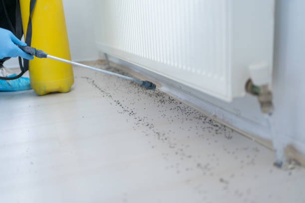 Best Best Pest Control Companies  in Marriott Slaterville, UT