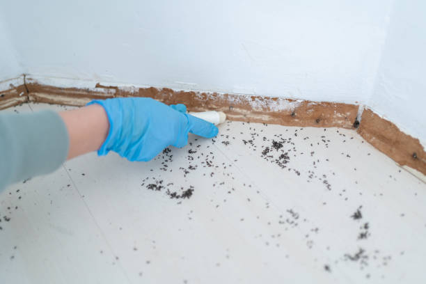 Best Pest Control Near Me  in Marriott Slaterville, UT