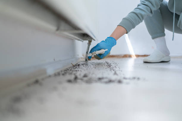 Best Insect Control  in Marriott Slaterville, UT